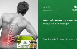 Trái nhàu, nước cốt nhàu hỗ trợ trị đau lưng như thế nào?