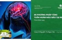 #5 Phương Pháp Tăng Tuần Hoàn Máu Não tại nhà
