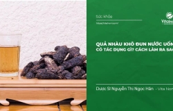 Quả Nhàu khô đun nước uống có Tác dụng gì?