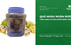 Quả nhàu Ngâm Rượu: Công dụng và cách ngâm đúng chuẩn