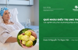 Quả nhàu hỗ trợ điều trị Ung Thư, phòng chống ung thư