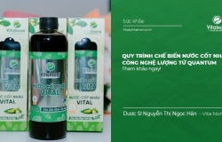 Quy Trình chế biến Nước Cốt Nhàu Vital công nghệ lượng tử Quantum