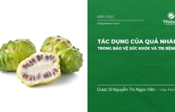 Tác dụng của quả Nhàu trong bảo vệ Sức Khỏe và trị Bệnh