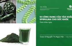 11 công dụng của Tảo Xoắn Spirulina cho sức khỏe