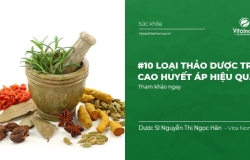 10 loại Thảo dược trị Cao Huyết Áp Hiệu Quả