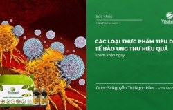 Các loại Thực phẩm tiêu diệt tế bào ung thư hiệu quả