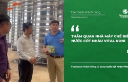 Thăm quan nhà máy chế biến nước cốt nhàu Vital Noni - Vitalnoni.com