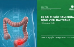 #5 Bài thuốc nam chữa bệnh viêm đại tràng hiệu quả