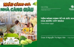 Tiềm Năng Kinh Tế và Sức Khỏe của Nước Cốt Nhàu