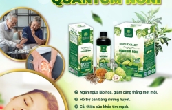 Tinh Chất Nhàu Quantum Noni: Công Dụng, Thành Phần & Cách Dùng