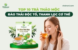 Top 10 Trà Thảo Mộc Đào thải độc tố, thanh lọc cơ thể
