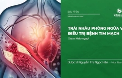 Trái nhàu Phòng Ngừa và Điều Trị bệnh tim mạch