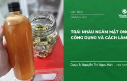 Trái Nhàu ngâm Mật Ong: Công Dụng, Ai không nên sử dụng