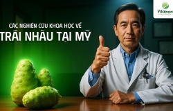 Các nghiên cứu khoa học về trái Nhàu tại Mỹ: Thành phần, công dụng