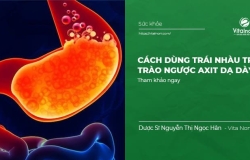 Cách Dùng trái Nhàu trị Trào Ngược Axit Dạ Dày hiệu quả