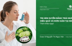 Cách điều trị Hen Suyễn bằng trái Nhàu, hiệu quả và đơn giản