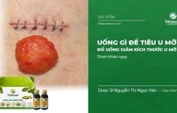 Uống Gì Để Tiêu U Mỡ | Đồ uống hỗ trợ giảm kích thước u mỡ