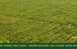 Thư ngỏ hợp tác nghiên cứu – sản xuất – gia công