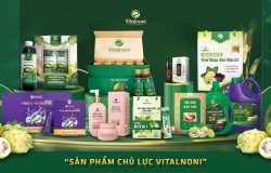 Nước cốt nhàu Vitalnoni: thành phần, cách dùng đúng và ai nên thận trọng