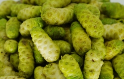 Nước cốt nhàu có tác dụng phụ không? 5 lưu ý quan trọng trước khi uống