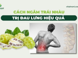 Cách Ngâm Trái Nhàu Trị Đau Lưng hiệu quả tại Nhà