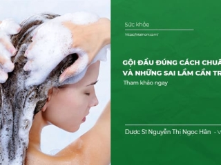 Hướng dẫn Gội Đầu đúng cách Chuẩn Spa và những Sai lầm cần tránh