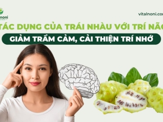Tác Dụng Của Trái Nhàu Với Trí Não: Giảm Trầm Cảm, Cải Thiện Trí Nhớ