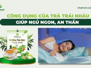 Công dụng của Trà Trái Nhàu Giúp Ngủ Ngon, An Thần