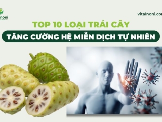 TOP 10 loại Trái Cây Tăng Cường Hệ Miễn Dịch tự nhiên