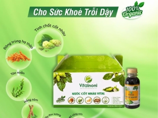 Nước cốt nhàu có tác dụng gì? Giải thích dễ hiểu + cách dùng đúng chuẩn từ Vitalnoni