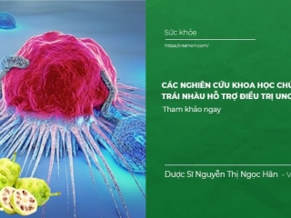 Các nghiên cứu khoa học chứng minh Trái Nhàu hỗ trợ ngăn ngừa và điều trị ung thư 