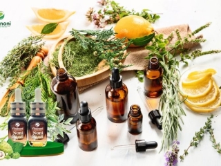 Tinh Dầu Là Gì? Phân Loại & Cách Chọn Mua Tinh Dầu