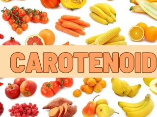 Carotenoid trong trái Nhàu là gì? “Kho hoạt chất vàng” cùng iridoid, flavonoid, coumarin, polysaccharide