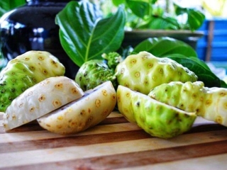 Nước cốt nhàu có tác dụng gì? 7 lợi ích nổi bật của nước cốt trái nhàu Vitalnoni với sức khỏe