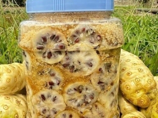 Trái nhàu có tác dụng gì với người tiểu đường? Chuyên gia Vitalnoni giải đáp