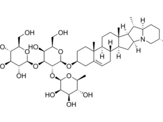 Saponin trong trái nhàu có tác dụng gì với sức khỏe?