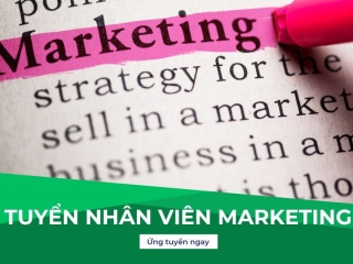 Tuyển Nhân viên Marketing