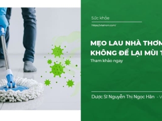 Mẹo Lau Nhà Thơm Không Để Lại Mùi Tanh 