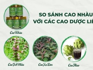So Sánh Cao Nhàu với Các Cao Dược Liệu phổ biến Khác
