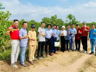 Các đại lý thăm quan vùng nguyên liệu, nhà máy chế biến của Vital Noni