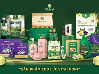 Nước cốt nhàu Vitalnoni: Công dụng, cách dùng, tác dụng phụ & nơi mua uy tín