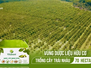 NGUỒN NGUYÊN LIỆU ĐẠT CHUẨN