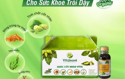 Nước cốt nhàu có tác dụng gì? Lợi ích tiềm năng, cách dùng và lưu ý an toàn