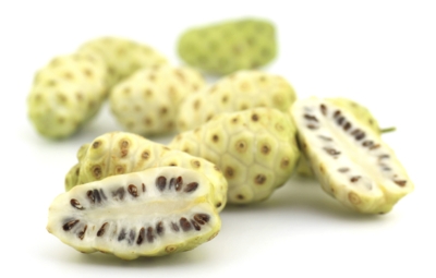 Damnacanthal là gì? Hoạt chất anthraquinone đặc biệt trong cây nhàu và tác dụng của nó