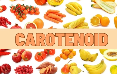 Carotenoid trong trái Nhàu là gì? “Kho hoạt chất vàng” cùng iridoid, flavonoid, coumarin, polysaccharide