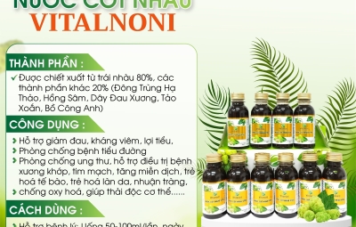 Nước cốt nhàu trị bệnh gì? Giải mã tác dụng nước cốt trái nhàu Vitalnoni với tiểu đường, huyết áp, xương khớp