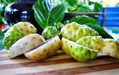 Nước cốt nhàu có tác dụng gì? 7 lợi ích nổi bật của nước cốt trái nhàu Vitalnoni với sức khỏe