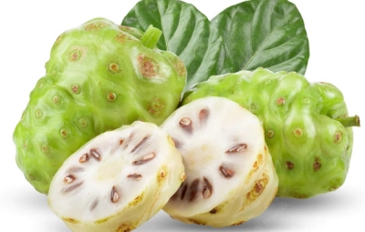 Nước cốt trái nhàu hỗ trợ sức khỏe như thế nào?