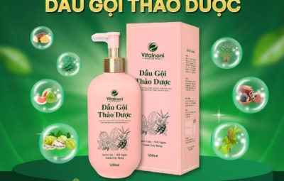 Dầu gội thảo dược Vitalnoni – Giải pháp giảm rụng tóc, sạch gàu từ thiên nhiên