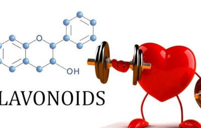 Flavonoid là gì và có công dụng gì với sức khỏe?